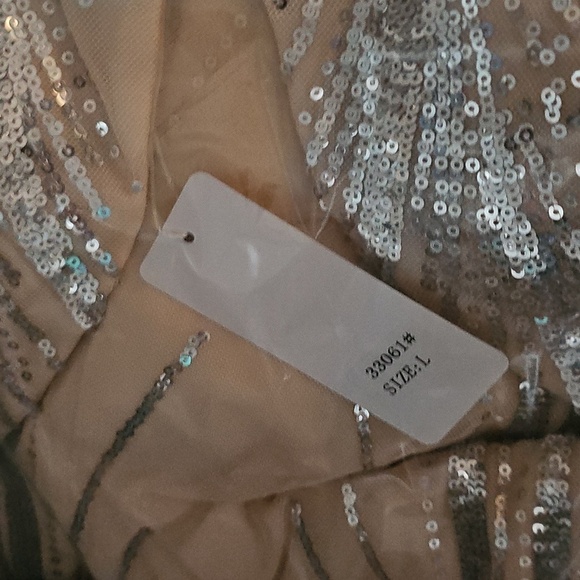 Elegant Silver Evening Gown - Picture 15 of 15